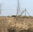 Фото: "Зеленый фронт". - Вестник СЗФО