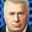 Владимир Жириновский задал вопрос Президенту России о демократии - ЛДПР