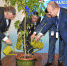 XII Петербургский Партнериат малого и среднего бизнеса - ЛОТПП