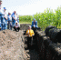 СП AGCO-RM подвело итоги исследовательского проекта Crop Tour 2017 - Сельскохозяйственные Вести