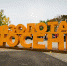Белорусские ученые представят на «Золотой осени» новейшие разработки в области ветеринарии - Сельскохозяйственные Вести