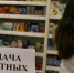 Аптеку Череповца уличили в продаже без рецептов сильнодействующих препаратов - СеверИнформ