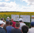Прошел практический семинар Crop Tour - Сельскохозяйственные Вести
