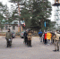 Военно – патриотические игры - ЛДПР
