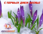 С первым днем весны!