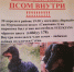 CfBI0suM47U.jpg - 47 новостей
