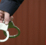 Адвокат Роман Бритвин арестован - СеверИнформ