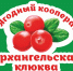 "Архангельская клюква" - полезные инвестиции - СеверИнформ