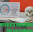 Ярмарка профессий 30 октября г. Всеволожск - ГБПОУ ЛОМТ