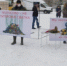 "Мы против отходов из Питера! Совсем за дебилов принимают". В Волосово сотни жителей вышли на улицу против расширения мусорного полигона - 47 новостей