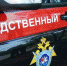Убийцу ребенка в детсаду Нарьян-Мара следствие просит отправить в психбольницу - СеверИнформ