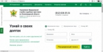 Дистанционный сервис  «Банк данных исполнительных производств»