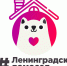 Ленинградцы умеют сидеть дома - Газета Вести