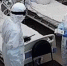 Число зараженных COVID-19 на промплощадке под Мурманском выросло до 367 человек - СеверИнформ