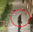 Видео: Полиция разыскивает подозреваемого в нападении на пенсионерку на юго-западе Петербурга - 47 новостей