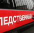 На Сахалине пропала девятилетняя девочка, под Екатеринбургом - восьмилетний мальчик. Оба попали на камеры - 47 новостей