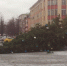 Бывший новогодний декоратор Вологды не виновен в падении ели на площади Революции - СеверИнформ