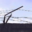 Обвиняемую в шпионаже Цуркан приговорили к 15 годам колонии - 47 новостей
