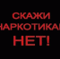 Супругов в Вологде поймали за нанесением рекламы наркотиков на дома - СеверИнформ