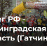 V Всероссийский полумарафон "ЗаБег РФ". Бежит вся Россия. - Комитет спорта