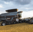 AGCO-RM представит комбайны IDEAL на «Золотой Ниве 2021» - Сельскохозяйственные Вести