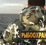 Сотрудники рыбоохраны усилили охрану леща у Волховской ГЭС - 47Channel.Ru