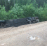 В Подпорожском районе Ленобласти перевернулся экскурсионный автобус - 47Channel.Ru