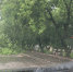 xjpgzSmk1ng.jpg - 47 новостей