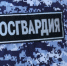В Приозерске преступник с топором напал на мужчину - ЛенТВ24
