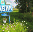 Деревня Бабик стала самой красивой - СеверИнформ