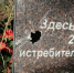В Лужском районе обнаружили множество человеческих останков - ЛенТВ24