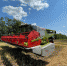 Комбайн LEXION 6800 продемонстрировал свои возможности в природно-климатических условиях СИБИРИ И ЮГА РОССИИ - Сельскохозяйственные Вести