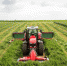 AGCO-RM продлевает лизинговые программы - Сельскохозяйственные Вести