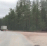 Пожилой водитель иномарки пострадал из-за столкновения с КАМАЗом на трассе Выборгского района - 47Channel.Ru