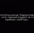 Жительница Харькова: Не русские бьют, наши по нам стреляют - Online47.Ru