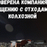 Росприроднадзор проверил компанию по обращению с отходами во Всеволожском районе - 47Channel.Ru