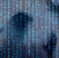 Аналитики отметили снижение интенсивности DDoS-атак на российские ресурсы - Online47.Ru