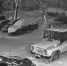 Череповчанин может получить пять лет за несдержанное отношение к полиции - СеверИнформ