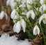 Сегодня в Ленобласти воцарится теплая погода без осадков - Online47.Ru