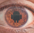 Эксперты обнаружили вредоносное ПО в антивирусах для Android - Online47.Ru