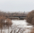 Ленобласти прочат сырой уикенд и подъем воды в реках - 47 новостей