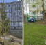 Новогодняя елка во дворе дома встретила 9 мая - СеверИнформ
