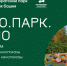 В Гатчине откроют летний кинотеатр под открытым небом - Общая газета