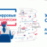 Для жителей Ленобласти стартовал бесплатный IT-марафон - Общая газета