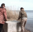 Подстреленного в Гатчинском районе лебедя выпустили после лечения в дикую природу - 47Channel.Ru