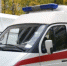 Школьница получила выстрел в лоб от неизвестного в СНТ под Тихвином - Общая газета