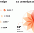 Инфографика: «Тинькофф Касса» - 47 новостей