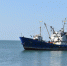 Ученые ВНИРО оценили рыбные запасы Азовского моря - PortNews