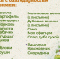 Ленинградский зоопарк запустил акцию по сбору урожая для животных - ЛДПР