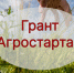 Грант «Агростартап» увеличен на 2 миллиона рублей - Журнал Сельскохозяйственные Вести